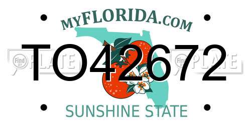 TO42672 Florida License Plate