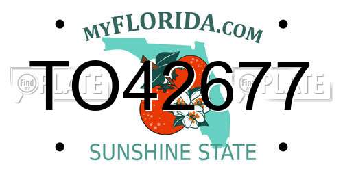 TO42677 Florida License Plate