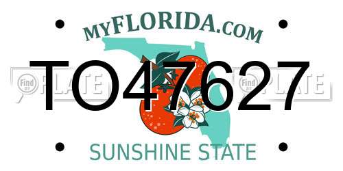 TO47627 Florida License Plate
