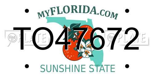 TO47672 Florida License Plate