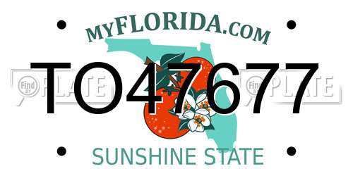 TO47677 Florida License Plate