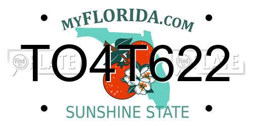 TO4T622 Florida License Plate
