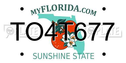 TO4T677 Florida License Plate
