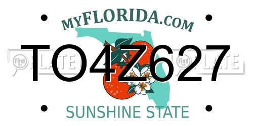 TO4Z627 Florida License Plate