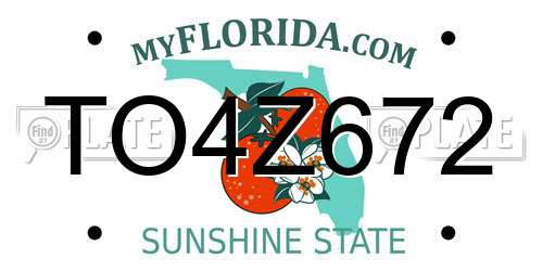 TO4Z672 Florida License Plate