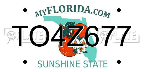 TO4Z677 Florida License Plate