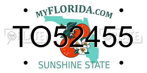 TO52455 Florida License Plate