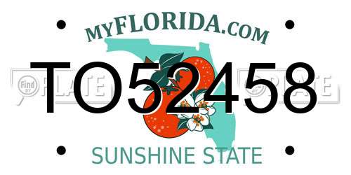 TO52458 Florida License Plate