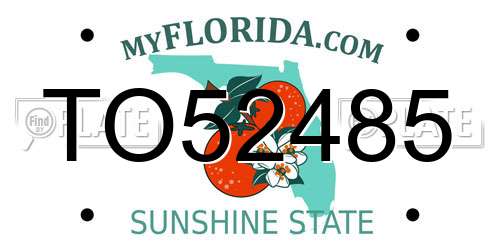 TO52485 Florida License Plate