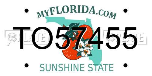 TO57455 Florida License Plate