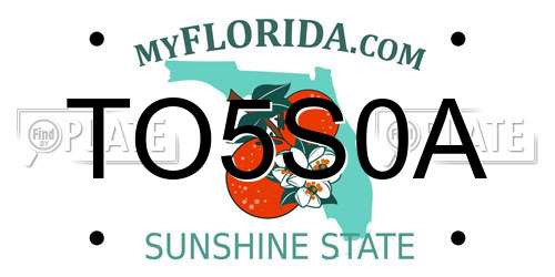 TO5S0A Florida License Plate