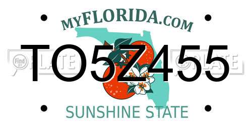 TO5Z455 Florida License Plate