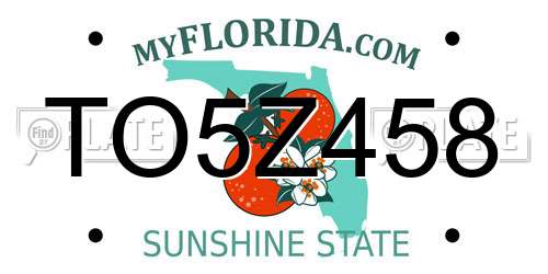 TO5Z458 Florida License Plate