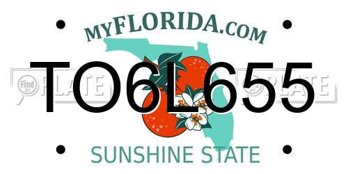 TO6L655 Florida License Plate