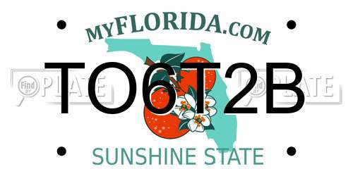 TO6T2B Florida License Plate
