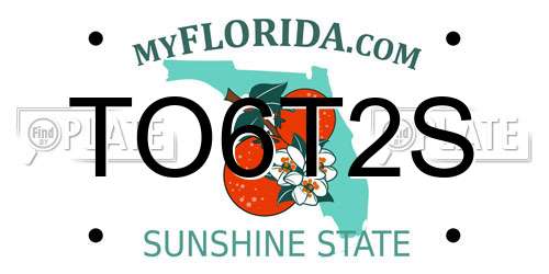 TO6T2S Florida License Plate