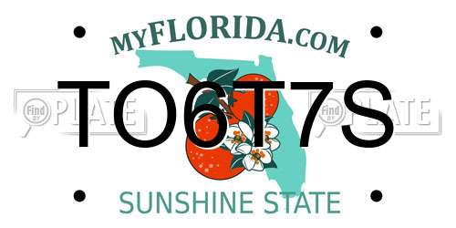 TO6T7S Florida License Plate