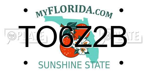TO6Z2B Florida License Plate