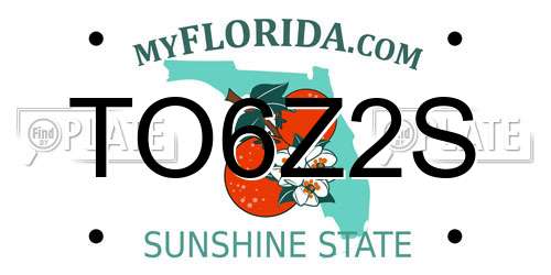 TO6Z2S Florida License Plate
