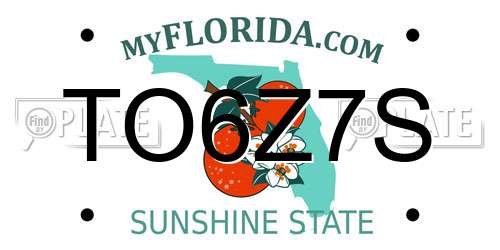 TO6Z7S Florida License Plate