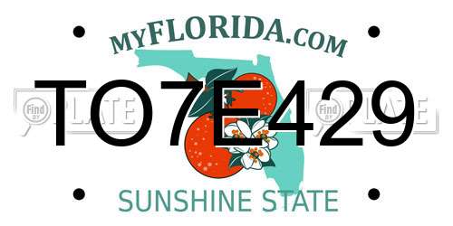 TO7E429 Florida License Plate