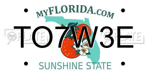 TO7W3E Florida License Plate
