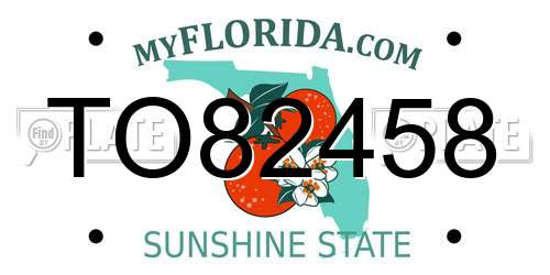 TO82458 Florida License Plate