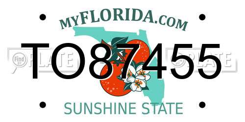 TO87455 Florida License Plate