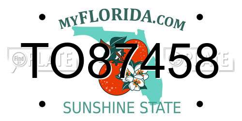TO87458 Florida License Plate