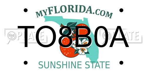 TO8B0A Florida License Plate