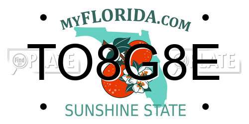 TO8G8E Florida License Plate