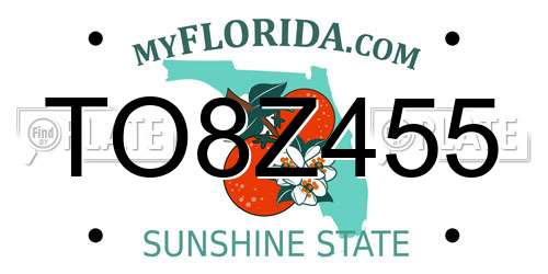 TO8Z455 Florida License Plate