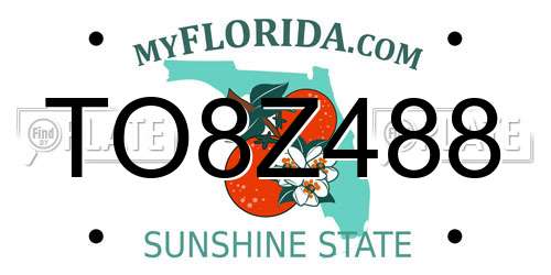 TO8Z488 Florida License Plate
