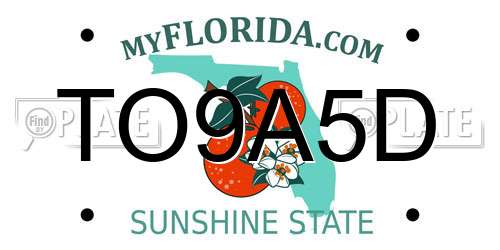TO9A5D Florida License Plate