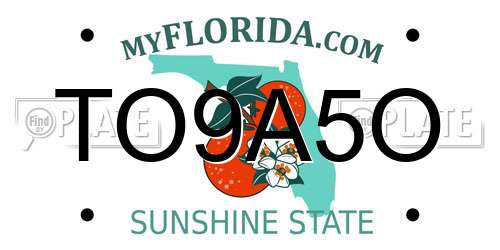 TO9A5O Florida License Plate