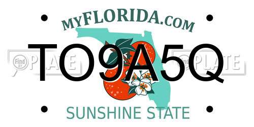 TO9A5Q Florida License Plate
