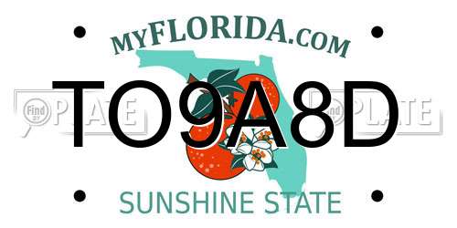 TO9A8D Florida License Plate