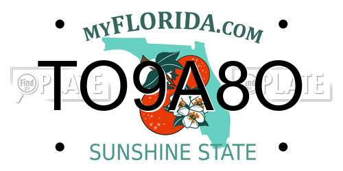 TO9A8O Florida License Plate