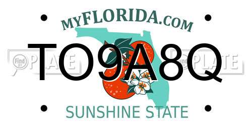 TO9A8Q Florida License Plate