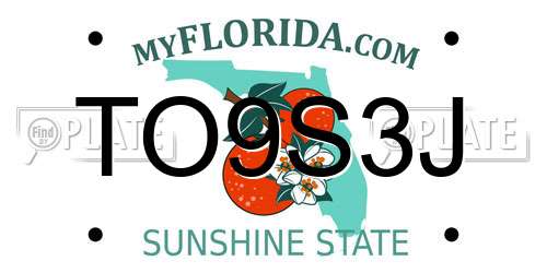 TO9S3J Florida License Plate