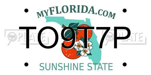 TO9T7P Florida License Plate