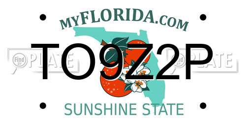 TO9Z2P Florida License Plate