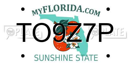 TO9Z7P Florida License Plate