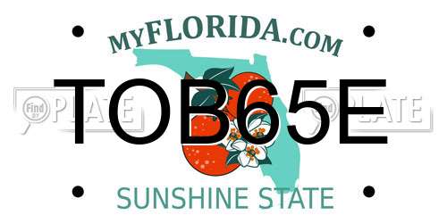 TOB65E Florida License Plate