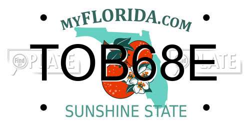 TOB68E Florida License Plate