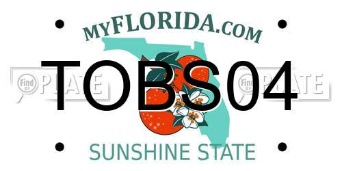 TOBS04 Florida License Plate