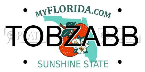 TOBZABB Florida License Plate