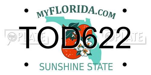 TOD622 Florida License Plate