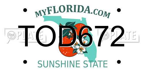TOD672 Florida License Plate