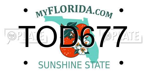 TOD677 Florida License Plate